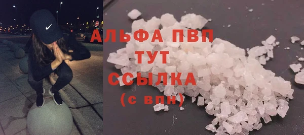 шишки Аркадак