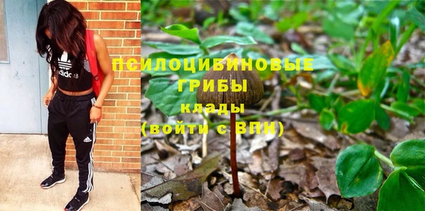 шишки Аркадак