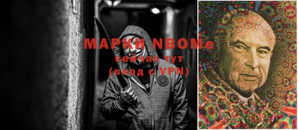 шишки Аркадак