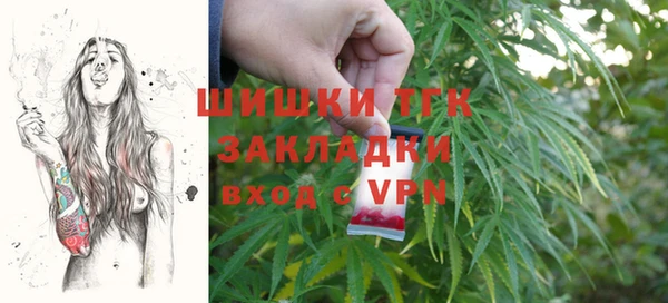 шишки Аркадак