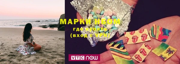 шишки Аркадак