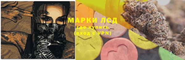шишки Аркадак