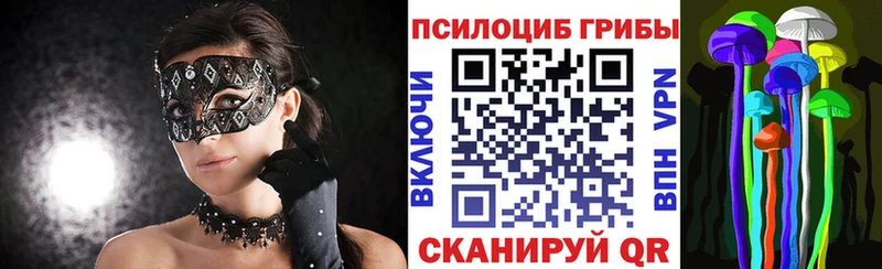 закладка мориарти как зайти Псилоцибиновые грибы Cubensis Пушкино
