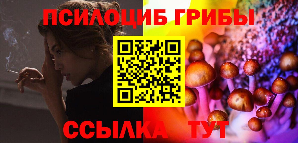 Галлюциногенные грибы прущие грибы Пушкино